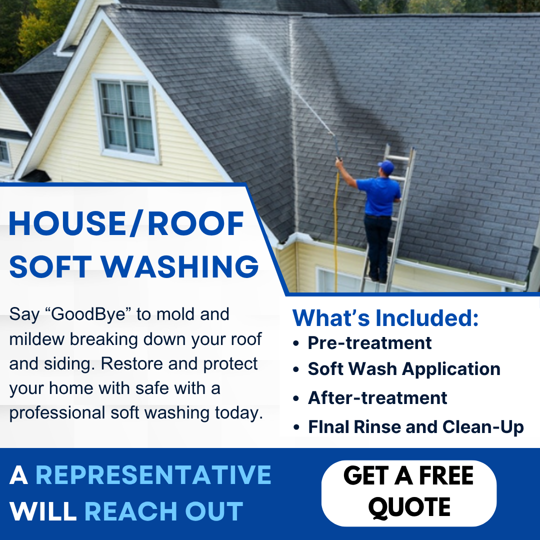 House/Roof Soft Washing